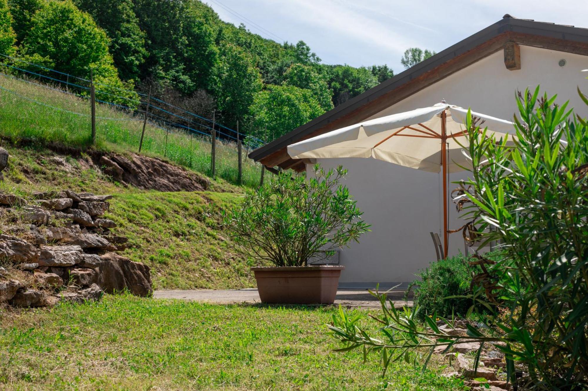 Agriturismo Riva Dei Coz Sequsino Exterior foto