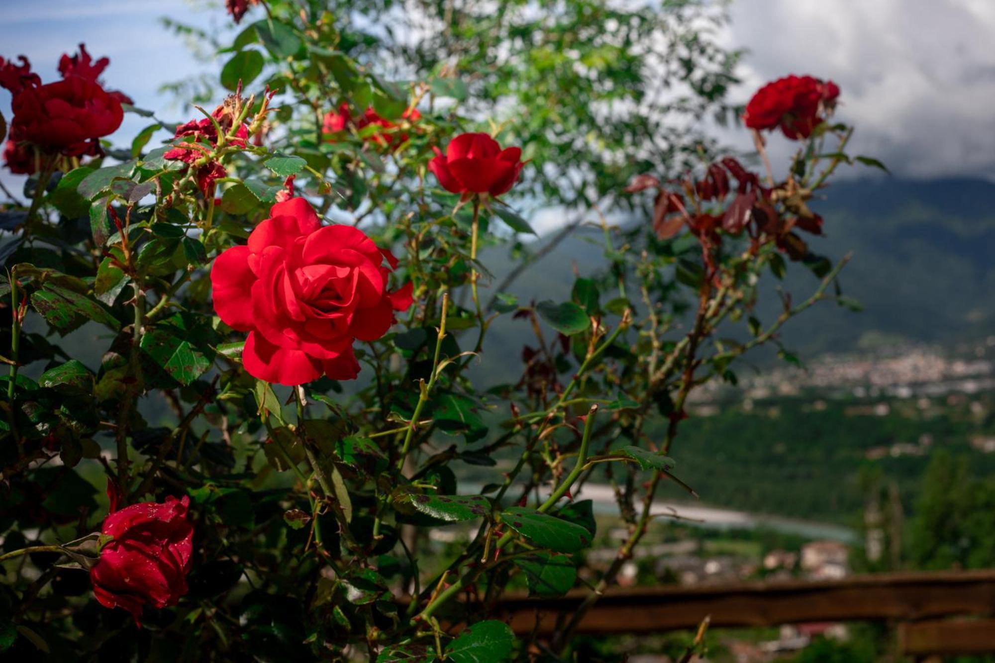 Agriturismo Riva Dei Coz Sequsino Exterior foto